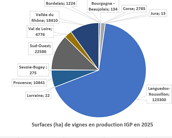 IGPsurface 2025.png